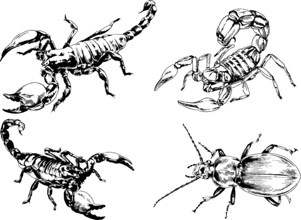 Vectortekeningen Schetst Verschillende Insecten Insecten Schorpioenen Spinnen Met Hand Getekend — Stockvector