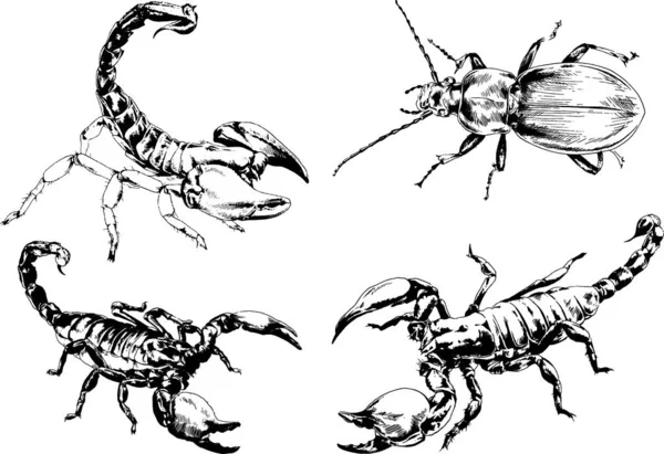 Dibujos Vectoriales Bocetos Insectos Diferentes Insectos Scorpions Arañas Dibujadas Con — Vector de stock