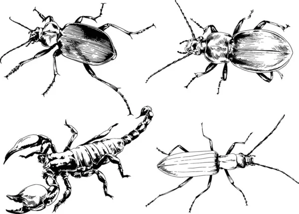 Desenhos Vetoriais Esboços Diferentes Insetos Insetos Escorpiões Aranhas Desenhadas Tinta —  Vetores de Stock