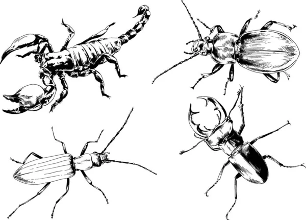 Desenhos Vetoriais Esboços Diferentes Insetos Insetos Escorpiões Aranhas Desenhadas Tinta — Vetor de Stock