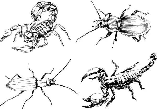 Dibujos Vectoriales Bocetos Insectos Diferentes Insectos Scorpions Arañas Dibujadas Con — Vector de stock