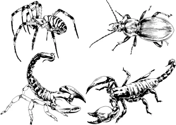Desene Vectoriale Schițe Diferite Insecte Bug Uri Scorpioni Păianjeni Desenate — Vector de stoc