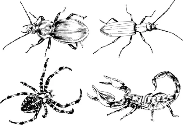 Dibujos Vectoriales Bocetos Insectos Diferentes Insectos Scorpions Arañas Dibujadas Con — Vector de stock