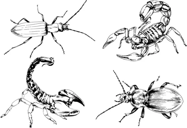 Dibujos Vectoriales Bocetos Insectos Diferentes Insectos Scorpions Arañas Dibujadas Con — Vector de stock