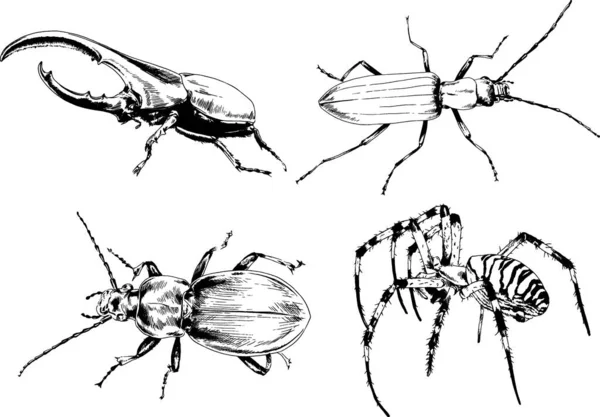 Desenhos Vetoriais Esboços Diferentes Insetos Insetos Escorpiões Aranhas Desenhadas Tinta —  Vetores de Stock