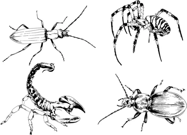 Векторные Рисунки Эскизы Различных Насекомых Жуки Scorpions Пауки Нарисованы Чернилами — стоковый вектор