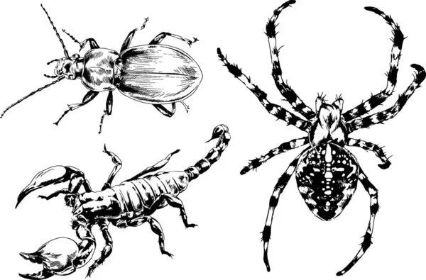 ベクトル図は異なる昆虫のバグをスケッチ手でインクで描かれたスコーピオンクモ 背景のないオブジェクト — ストックベクタ