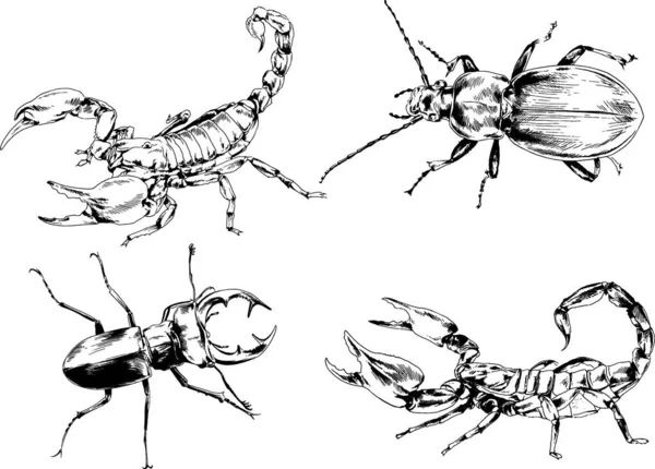 Desenhos Vetoriais Esboços Diferentes Insetos Insetos Escorpiões Aranhas Desenhadas Tinta —  Vetores de Stock