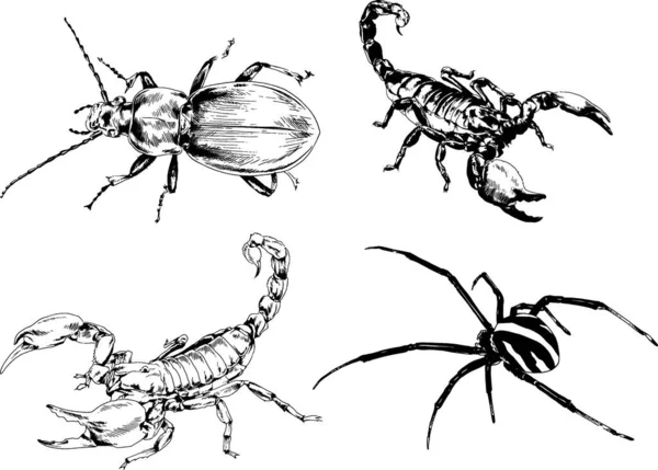 Vektorzeichnungen Skizzieren Verschiedene Insekten Käfer Skorpione Spinnen Mit Tusche Von — Stockvektor