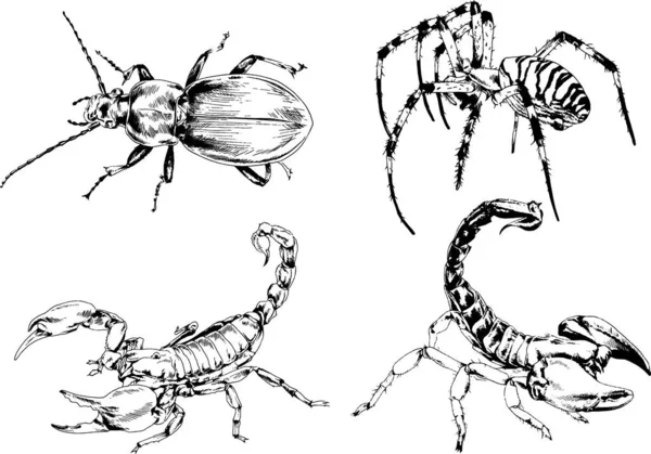 Vektorzeichnungen Skizzieren Verschiedene Insekten Käfer Skorpione Spinnen Mit Tusche Von — Stockvektor