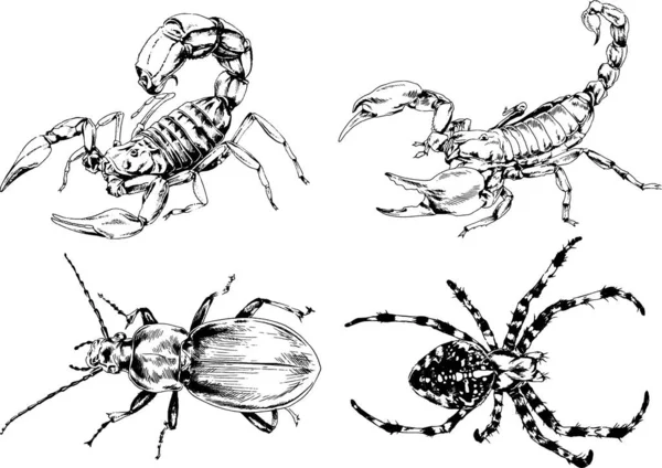 Vectortekeningen Schetst Verschillende Insecten Insecten Schorpioenen Spinnen Met Hand Getekend — Stockvector