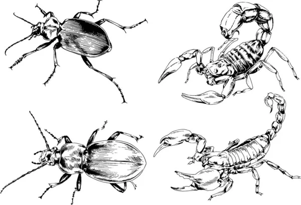 Vector Drawings Sketches Different Insects Bugs Scorpions Spiders Drawn Ink — Stock Vector