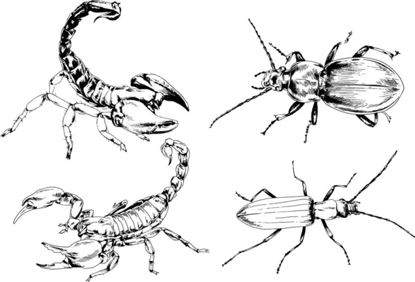 Векторные Рисунки Эскизы Различных Насекомых Жуки Scorpions Пауки Нарисованы Чернилами — стоковый вектор