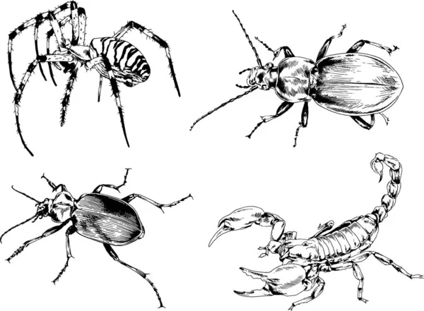 Dibujos Vectoriales Bocetos Insectos Diferentes Insectos Scorpions Arañas Dibujadas Con — Vector de stock