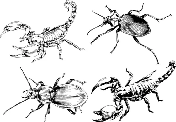 Векторные Рисунки Эскизы Различных Насекомых Жуки Scorpions Пауки Нарисованы Чернилами — стоковый вектор