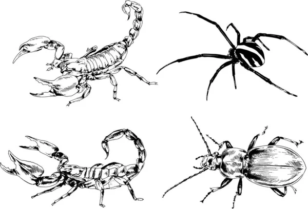 Vectortekeningen Schetst Verschillende Insecten Insecten Schorpioenen Spinnen Met Hand Getekend — Stockvector