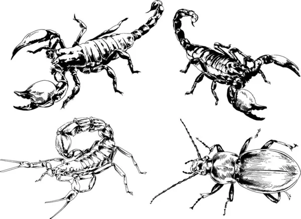 Vector Drawings Sketches Different Insects Bugs Scorpions Spiders Drawn Ink — Stock Vector