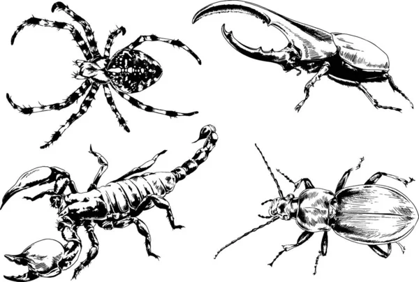 Desenhos Vetoriais Esboços Diferentes Insetos Insetos Escorpiões Aranhas Desenhadas Tinta —  Vetores de Stock