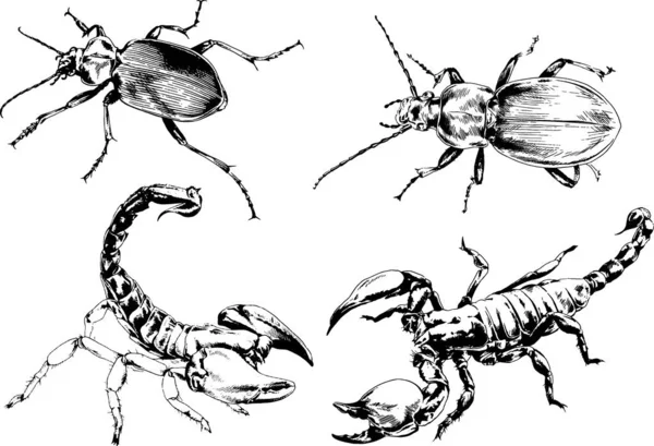 Vectortekeningen Schetst Verschillende Insecten Insecten Schorpioenen Spinnen Met Hand Getekend — Stockvector