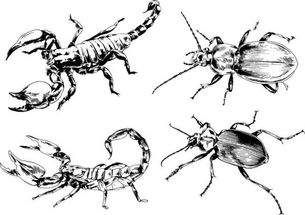 Desenhos Vetoriais Esboços Diferentes Insetos Insetos Escorpiões Aranhas Desenhadas Tinta —  Vetores de Stock