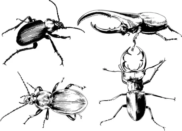 그림은 손으로 잉크로 물체들을 벌레들의 거미들을 그림이다 — 스톡 벡터