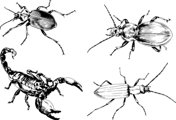 Desenhos Vetoriais Esboços Diferentes Insetos Insetos Escorpiões Aranhas Desenhadas Tinta —  Vetores de Stock