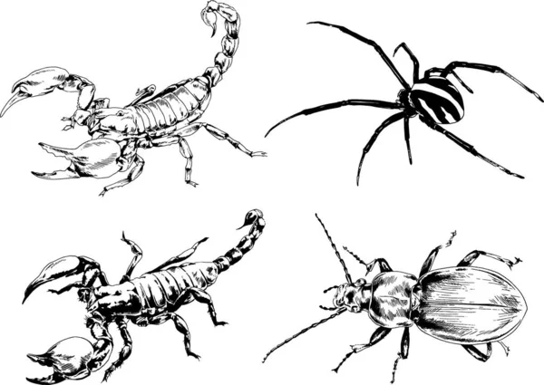 Vectortekeningen Schetst Verschillende Insecten Insecten Schorpioenen Spinnen Met Hand Getekend — Stockvector