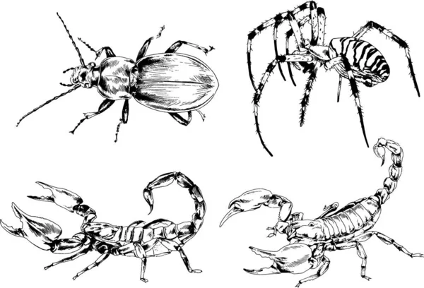 Desenhos Vetoriais Esboços Diferentes Insetos Insetos Escorpiões Aranhas Desenhadas Tinta —  Vetores de Stock