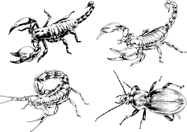 Desenhos Vetoriais Esboços Diferentes Insetos Insetos Escorpiões Aranhas Desenhadas Tinta —  Vetores de Stock