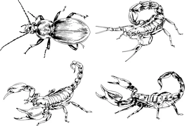Vektör Çizimleri Farklı Böcekler Çizer Akrepler Mürekkeple Çizilen Örümcekler Arka — Stok Vektör