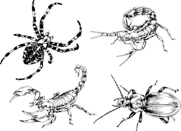 Vector Drawings Sketches Different Insects Bugs Scorpions Spiders Drawn Ink — Stock Vector