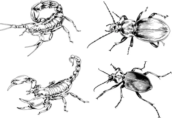 Dibujos Vectoriales Bocetos Insectos Diferentes Insectos Scorpions Arañas Dibujadas Con — Vector de stock