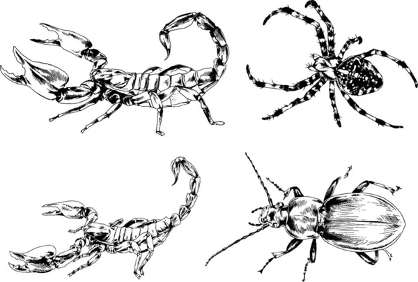 Disegni Vettoriali Schizzi Insetti Diversi Insetti Ragni Scorpioni Disegnati Mano — Vettoriale Stock