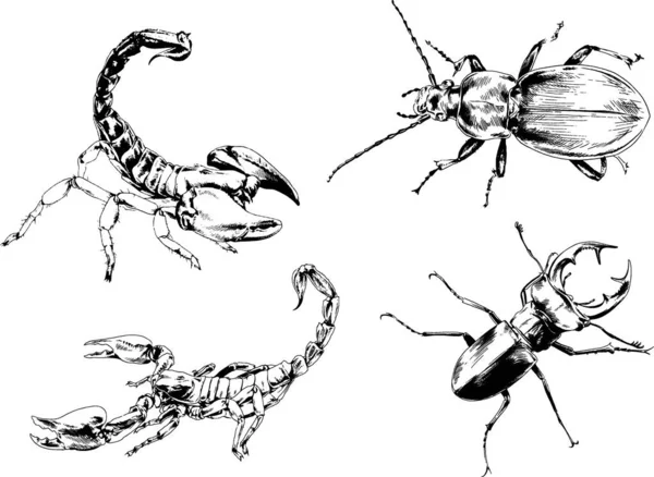 Desenhos Vetoriais Esboços Diferentes Insetos Insetos Escorpiões Aranhas Desenhadas Tinta —  Vetores de Stock