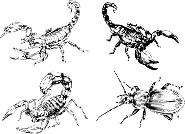 Vectortekeningen Schetst Verschillende Insecten Insecten Schorpioenen Spinnen Met Hand Getekend — Stockvector