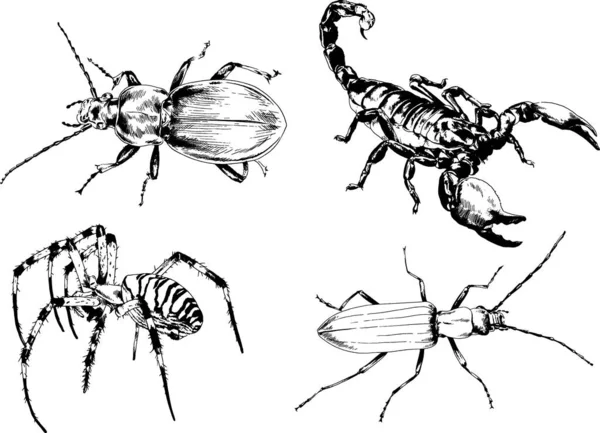 Vectortekeningen Schetst Verschillende Insecten Insecten Schorpioenen Spinnen Met Hand Getekend — Stockvector