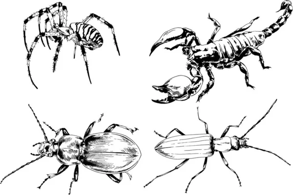 ベクトル図は異なる昆虫のバグをスケッチ手でインクで描かれたスコーピオンクモ 背景のないオブジェクト — ストックベクタ