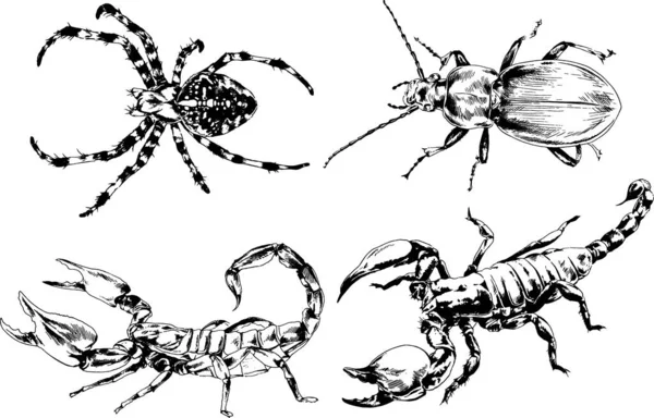 ベクトル図は異なる昆虫のバグをスケッチ手でインクで描かれたスコーピオンクモ 背景のないオブジェクト — ストックベクタ