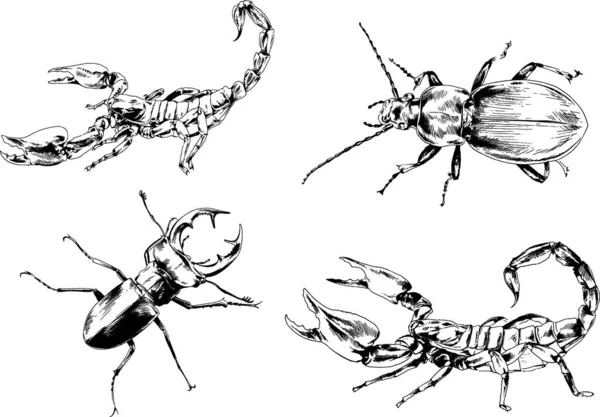 Dibujos Vectoriales Bocetos Insectos Diferentes Insectos Scorpions Arañas Dibujadas Con — Vector de stock