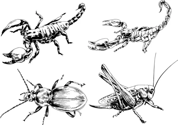 Disegni Vettoriali Schizzi Insetti Diversi Insetti Ragni Scorpioni Disegnati Mano — Vettoriale Stock