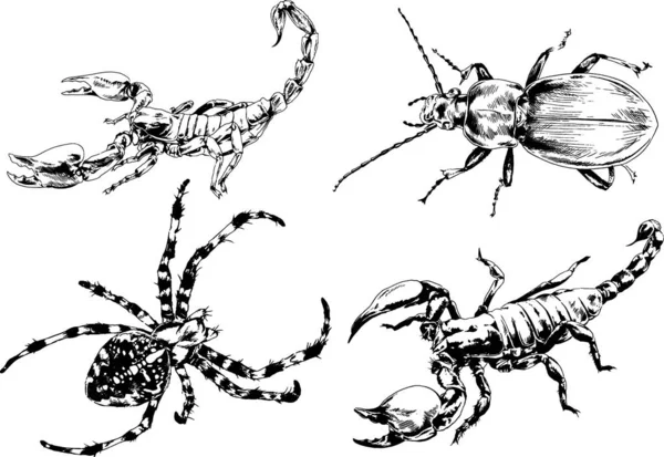 Vectortekeningen Schetst Verschillende Insecten Insecten Schorpioenen Spinnen Met Hand Getekend — Stockvector