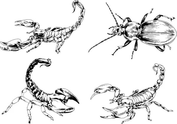 Vectortekeningen Schetst Verschillende Insecten Insecten Schorpioenen Spinnen Met Hand Getekend — Stockvector