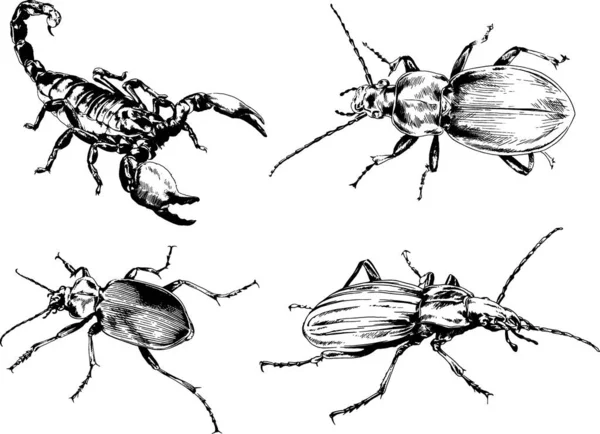 Desenhos Vetoriais Esboços Diferentes Insetos Insetos Escorpiões Aranhas Desenhadas Tinta —  Vetores de Stock