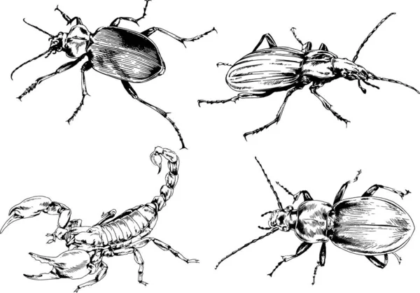 그림은 손으로 잉크로 물체들을 벌레들의 거미들을 그림이다 — 스톡 벡터