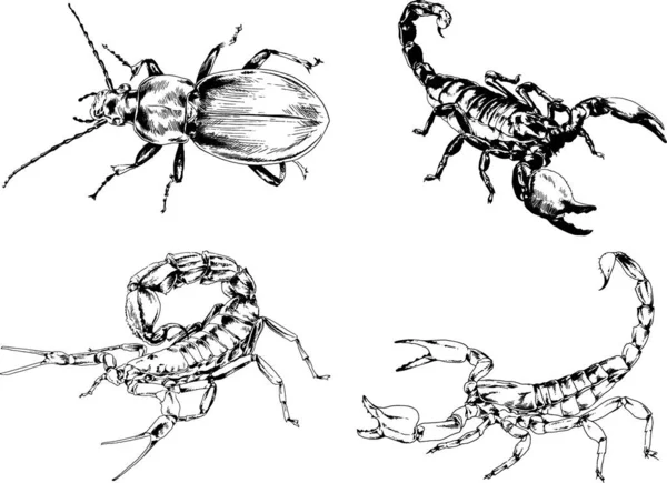 Векторные Рисунки Эскизы Различных Насекомых Жуки Scorpions Пауки Нарисованы Чернилами — стоковый вектор