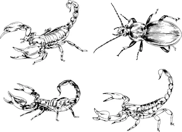 Vectortekeningen Schetst Verschillende Insecten Insecten Schorpioenen Spinnen Met Hand Getekend — Stockvector