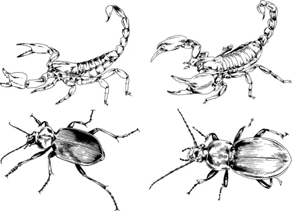 Векторные Рисунки Эскизы Различных Насекомых Жуки Scorpions Пауки Нарисованы Чернилами — стоковый вектор