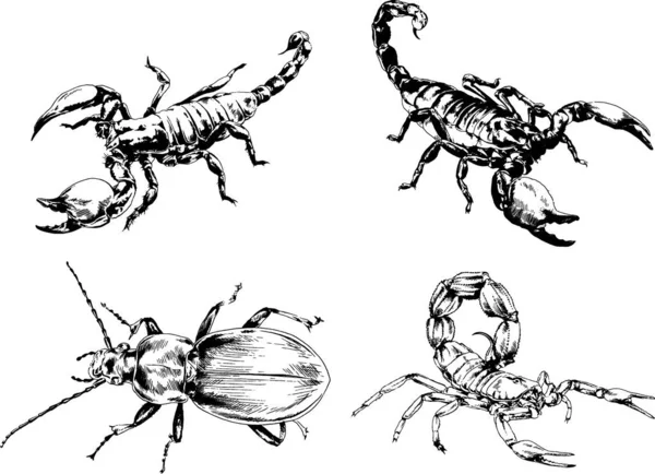 Vectortekeningen Schetst Verschillende Insecten Insecten Schorpioenen Spinnen Met Hand Getekend — Stockvector