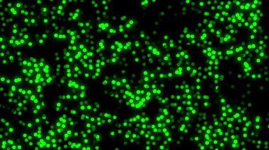 Parlak toplar arkaplan canlandırma videosu. Siyah bir arkaplanda yüzen neon yeşil parçacıklar. Yön değiştiren ışık küreleri rasgele hareket ediyor..