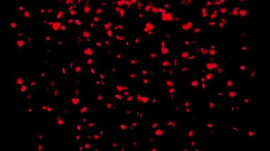 Sevgililer günü için siyah bir arkaplanda akan güzel kırmızı kalp parçacıkları. Sevgililer günü aşk animasyonu videosu. Romantik ve güzel düzenlemeler için parlayan küçük kalpler..